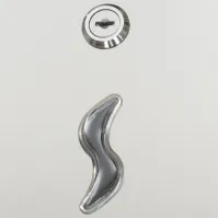 Distributeur de papier hygiénique enchevêtré inox 430 - 250 feuilles