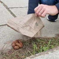 Sachet biodégradable en papier Animo Concept 20x20 cm hygiène canine